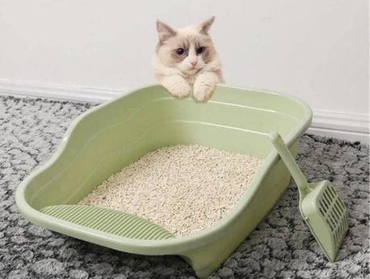 猫砂