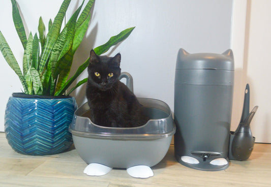 猫 砂 デオトイレとは？初心者向けに徹底解説！