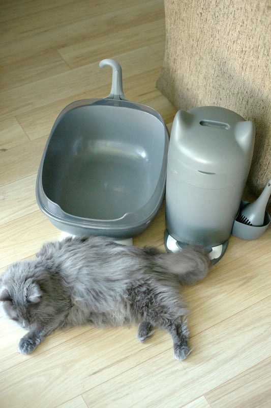 猫砂が飛び散る・臭う…そんな悩みを解決する最新トイレ事情