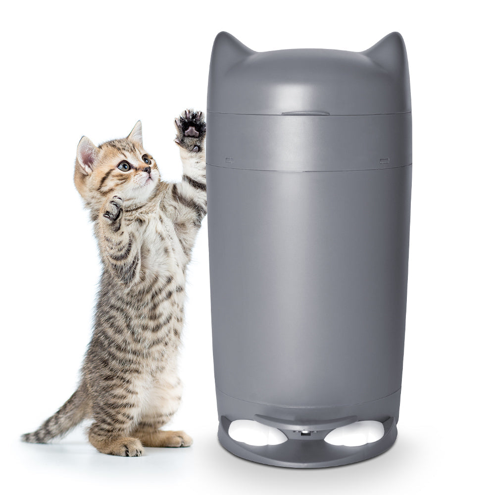 1匹猫用